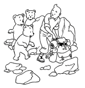 Tintino nuotykiai Internetinis Dažymas